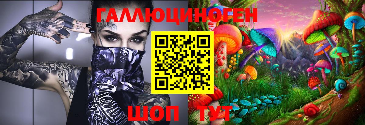 Галлюциногенные грибы Cubensis  Галлюциногенные грибы ЛСД  Вход с VPN  Советск 